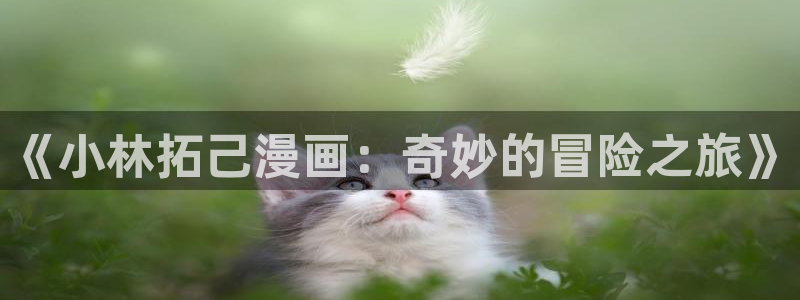 香蕉漫画书阅读下拉式2025：《小林拓己漫画：奇妙的冒险之旅》