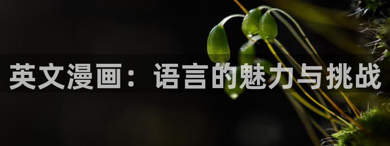 .香蕉漫画