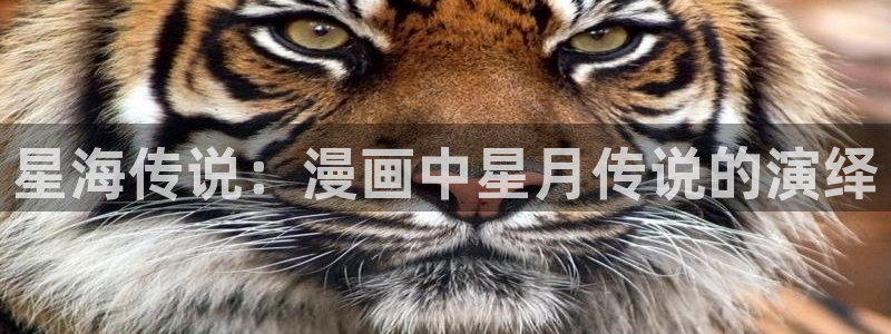 香蕉漫画在线免费看