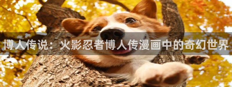 香蕉漫画在线观看入口