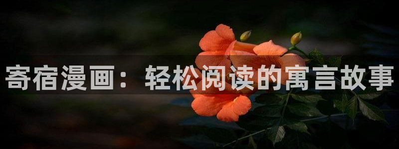 香蕉漫画官网入口