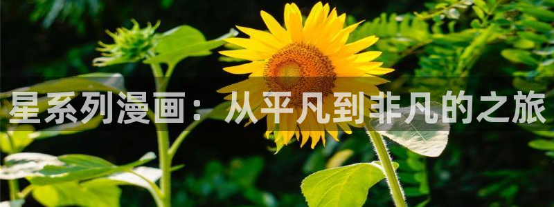 香蕉文化漫画书在线阅读平台下拉式