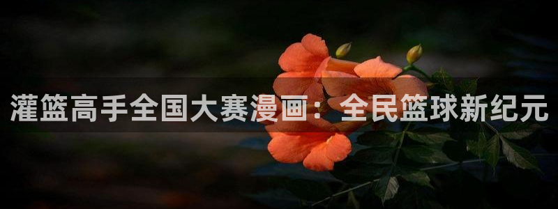 香蕉文化漫画书的下拉式阅：灌篮高手全国大赛漫画：全民篮球新纪元