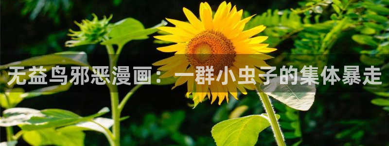 香蕉漫画vip
