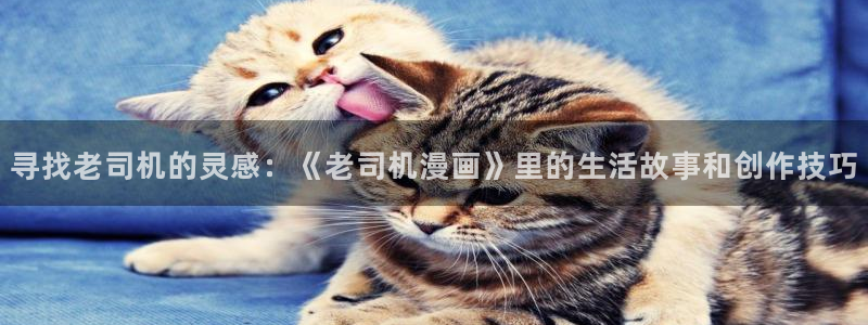 香蕉漫画在线入口
