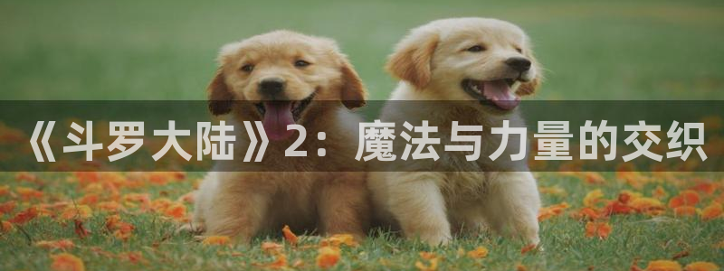 香蕉漫免费漫画入口首页漫画