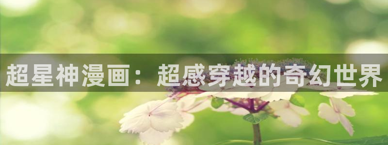 香蕉文化—漫画小说更新